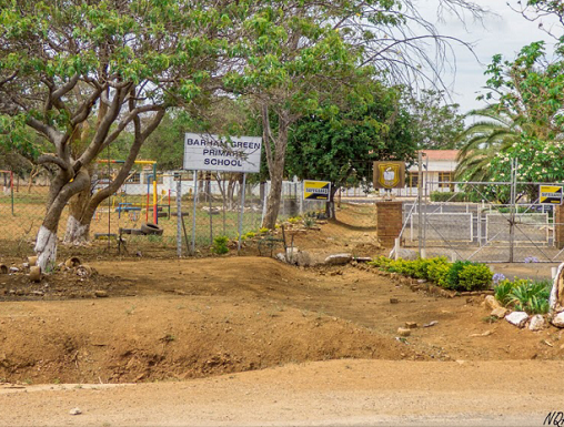 51 Learners Hospitalised After Bee Attack At Bulawayo School