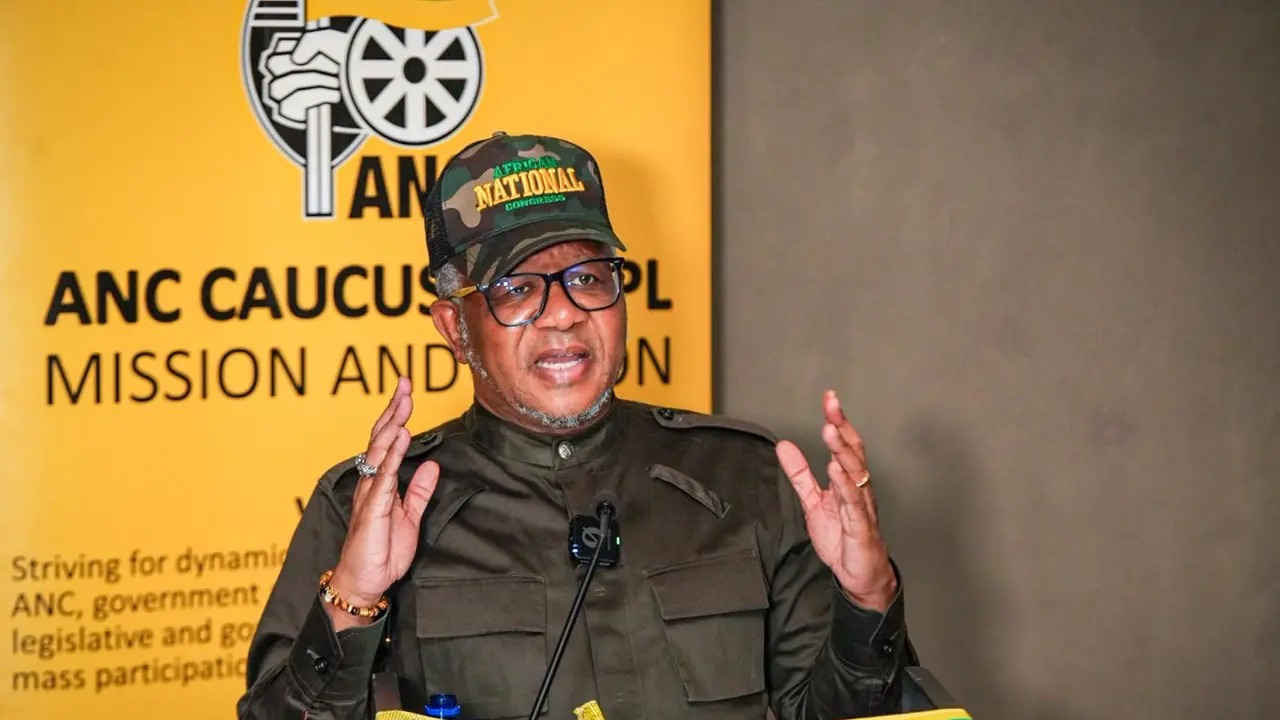 South Africa’s ANC Wants Immigration Quotas Back, Says Mbalula