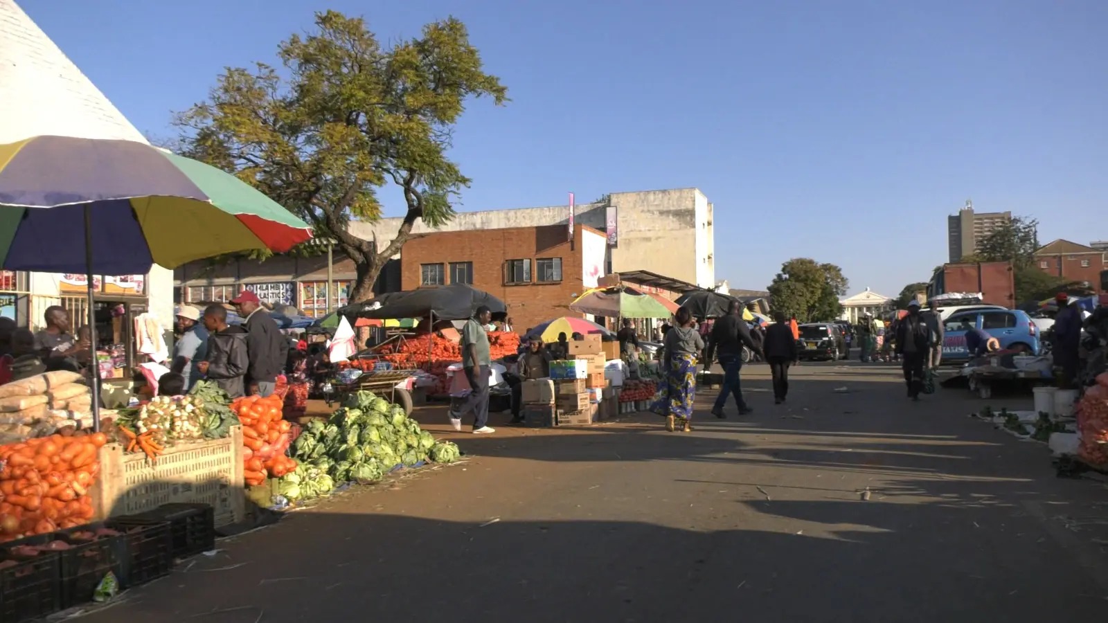 ZimRights condemns govt ultimatum on vendors
