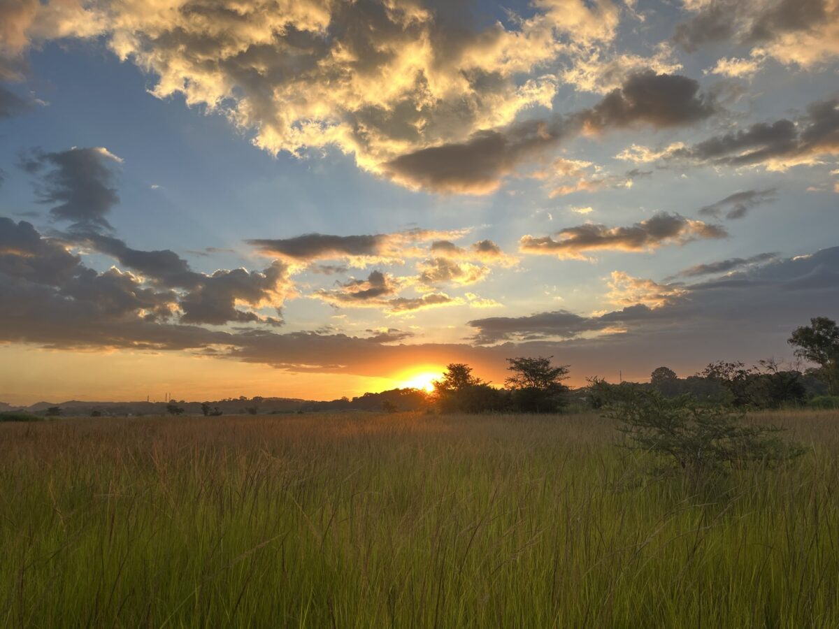 Energy Mutodi, Several Other MPs Ordered Off Monavale Wetland