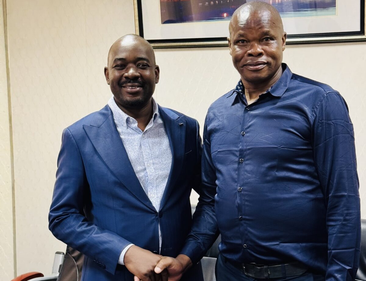Chamisa Calls For Transitional Government ⋆ Pindula News