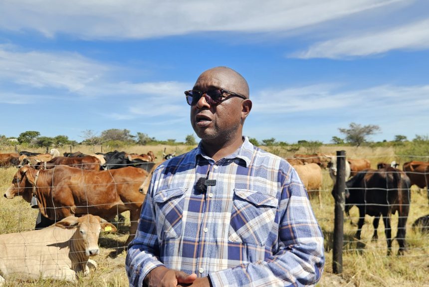 Divorce Case Reveals The Easy Riches Enjoyed By ZANU PF Top Brass While Ordinary Citizens Suffer