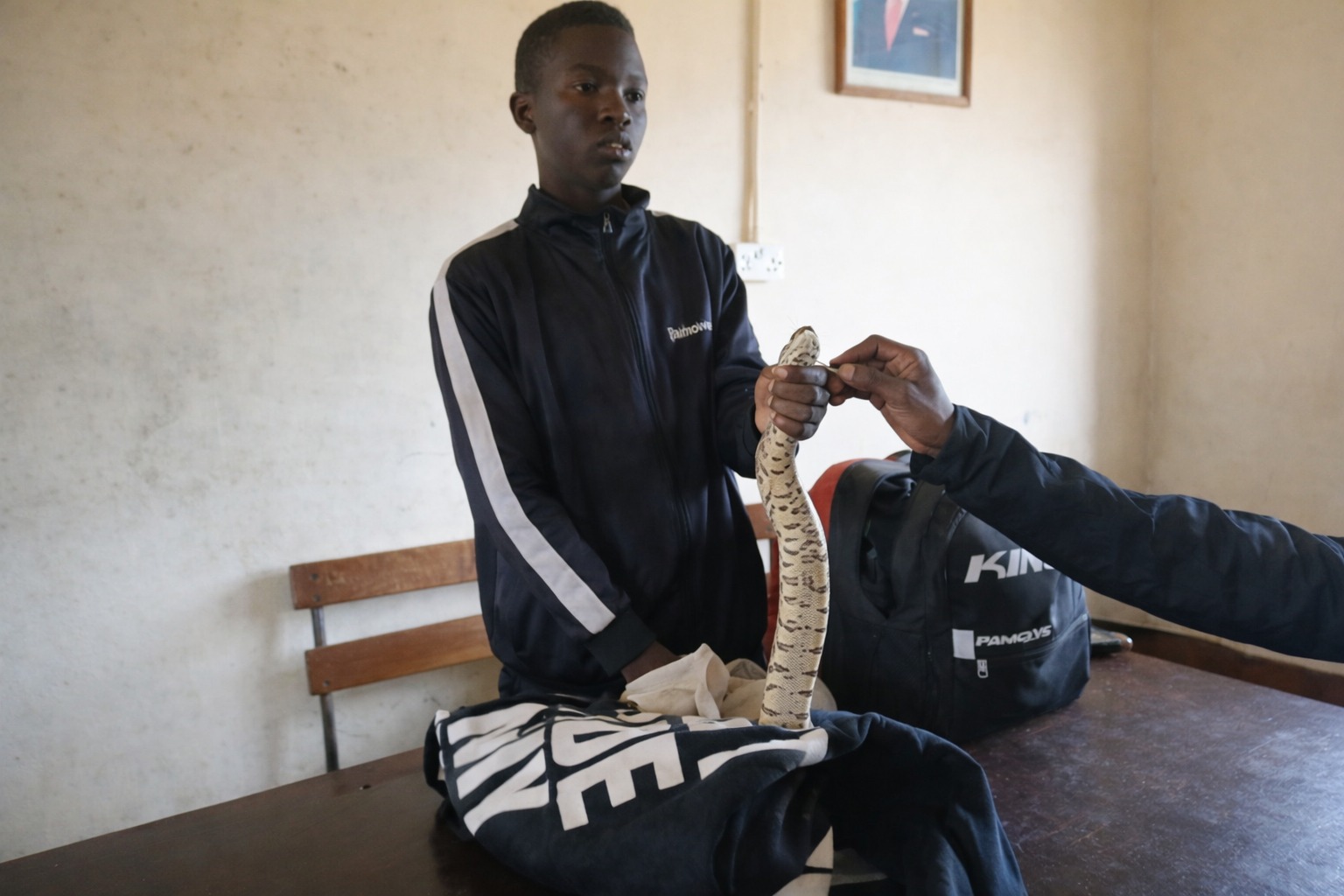Unregistered N’anga Nabbed With Two Snakes Used In “Wealth Rituals” For Miners
