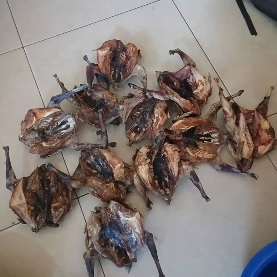 Man Arrested In Victoria Falls For Selling Guinea Fowl Meat