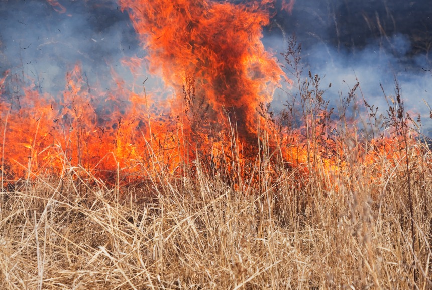 Neighbour Woken By Screams As Mother And Daughter Burn To Death In Shurugwi