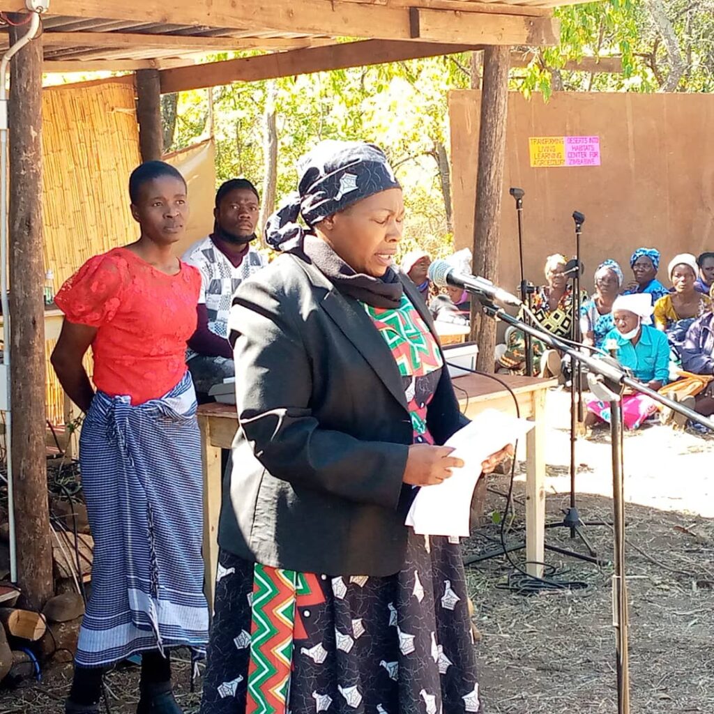 Mnangagwa Consolidates Grip On Parliament, Appoints 10 Additional Senators