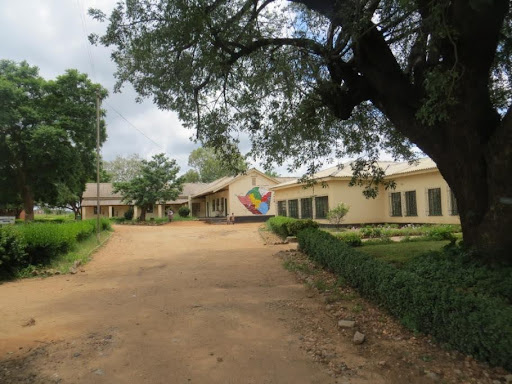 Plumtree Town Council Under Fire As Residents Billed US$30,000 For Vacant Stands