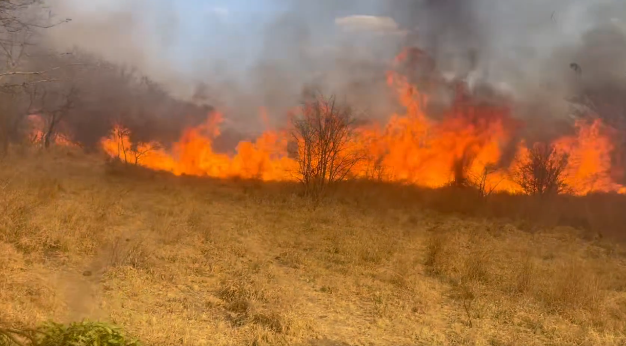 Musasiwa counts losses after brutal veld fire rips through farm