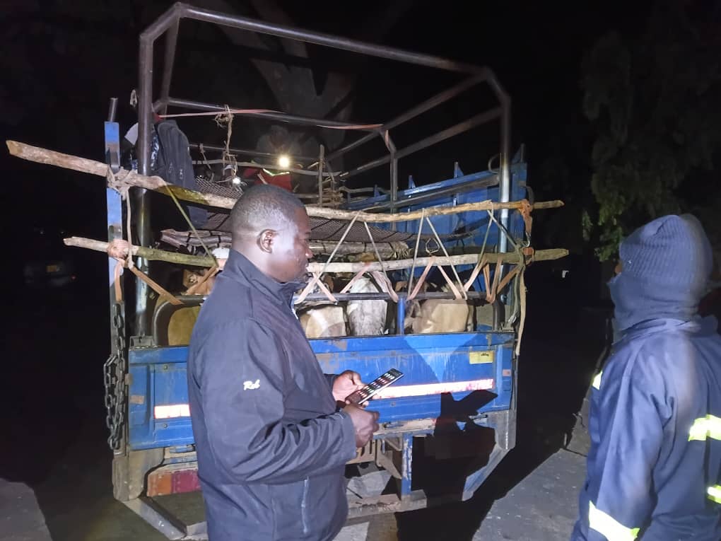 ZRP recovers over 100 goats in two stock theft busts, eight suspects arrested