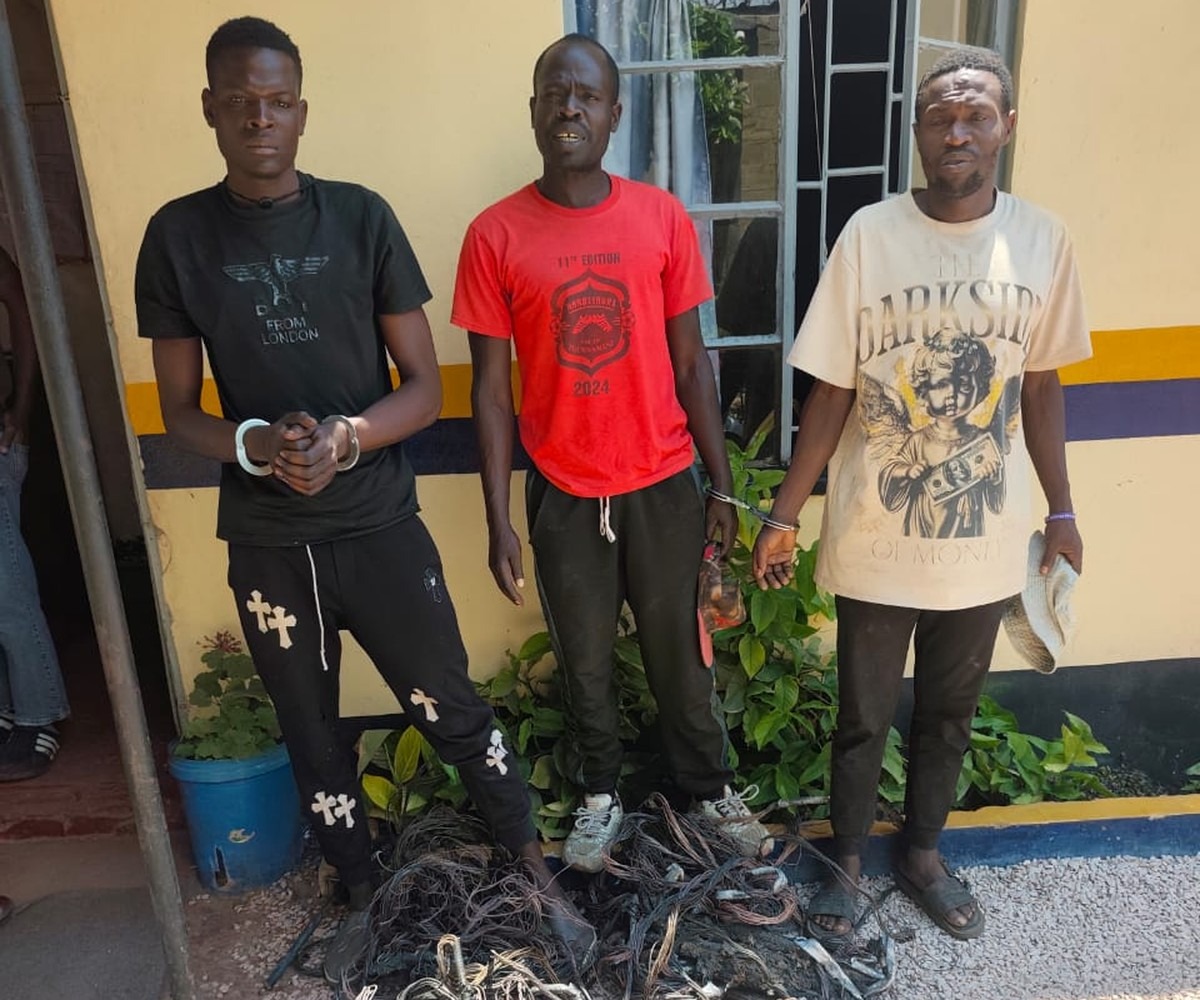 Three arrested over theft of ZESA copper cable from farm irrigation pivot